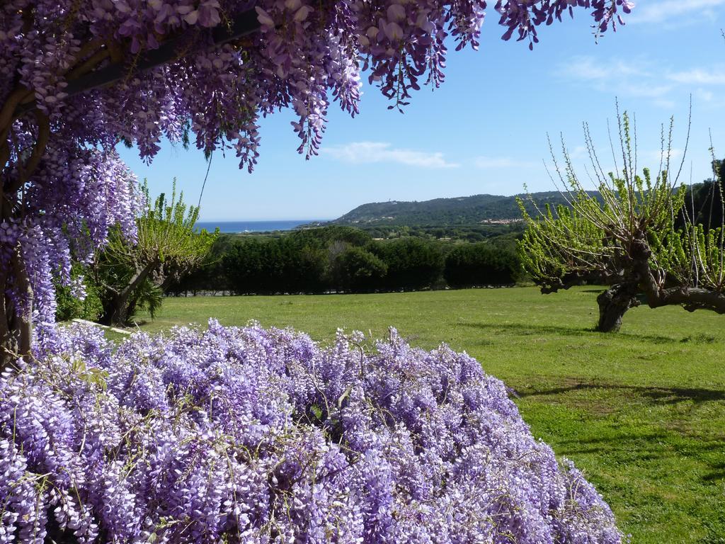 Residence Les Sellettes Saint-Tropez Buitenkant foto